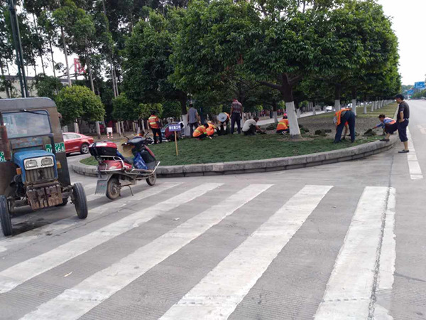 1496903534682693.jpg 751603400553824584_副本.jpg