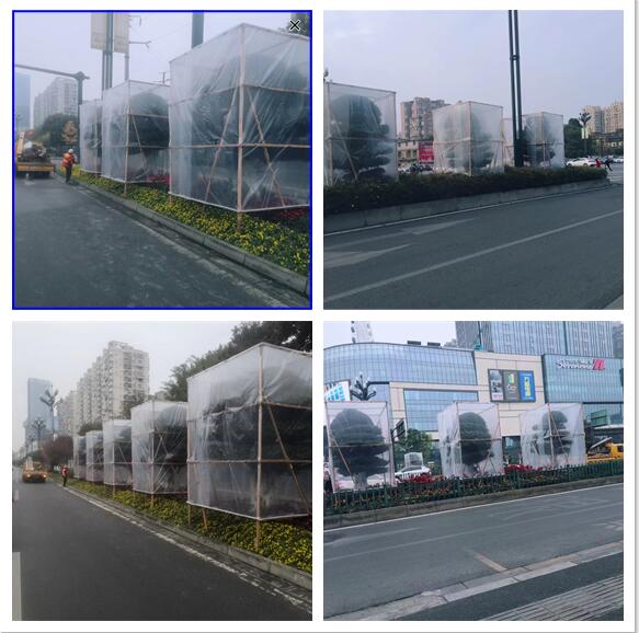 1671590384618891.jpg QQ截圖20221221103028.jpg